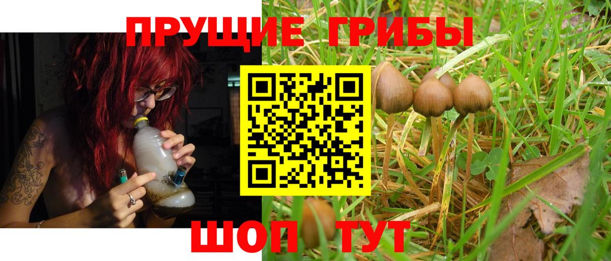 Галлюциногенные грибы мухоморы  Вход с VPN  купить   Галлюциногенные грибы прущие грибы  Сибай 